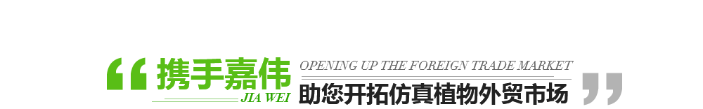 我們的優勢