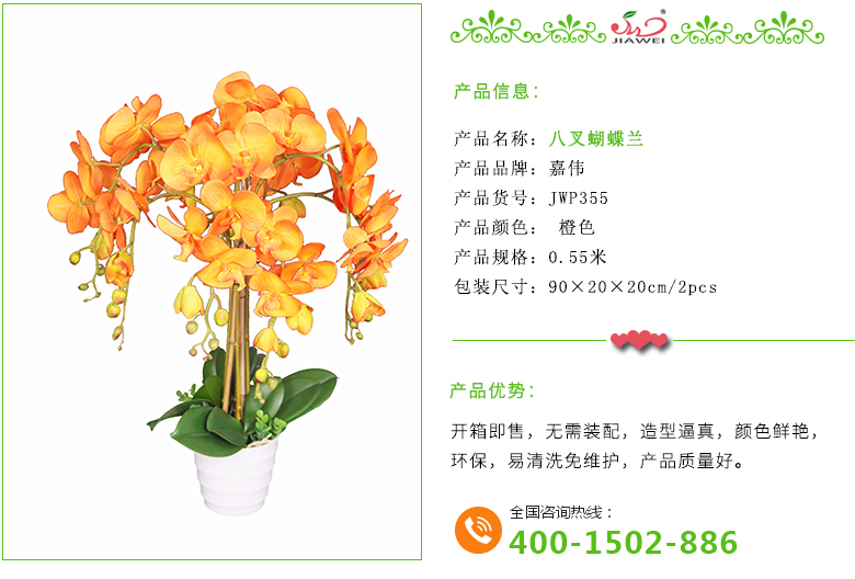 產品介紹