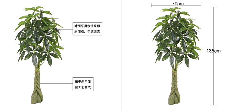 恭喜發財樹