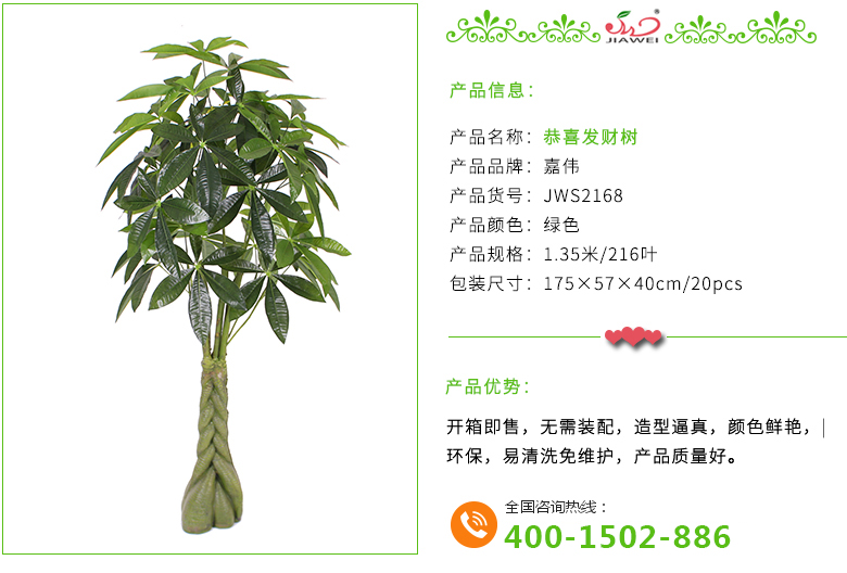 恭喜發財樹